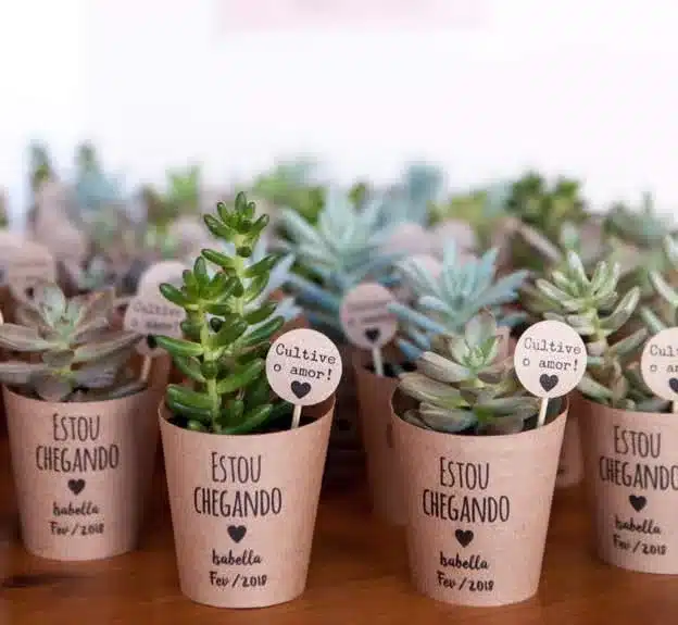 Mini Vasinhos Personalizados
