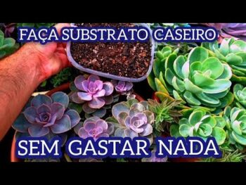 COMO FAZER SUBSTRATO CASEIRO PARA SUCULENTAS E CACTOS