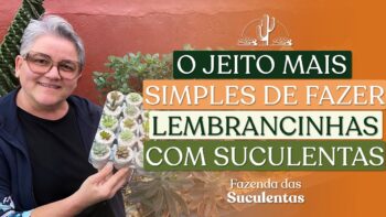 O JEITO MAIS SIMPLES DE FAZER LEMBRANCINHA COM SUCULENTAS