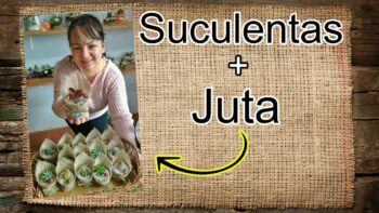 COMO FAZER LEMBRANCINHAS COM SUCULENTAS DE JUTA