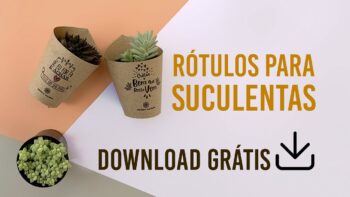 Rótulo para Suculentas para Baixar 【DOWNLOAD】