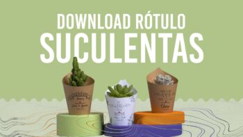 Baixar Molde para Suculentas | Plantinha Suculenta【DOWNLOAD】