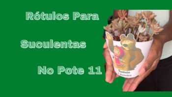 Rótulos Para Suculentas no Pote 11 #suculentas #rotulosparasuculentas