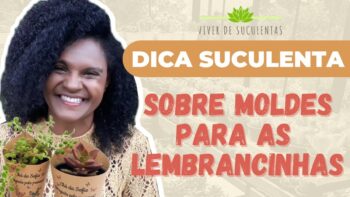 DICAS SOBRE MOLDES PARA LEMBRANCINHAS DE SUCULENTAS