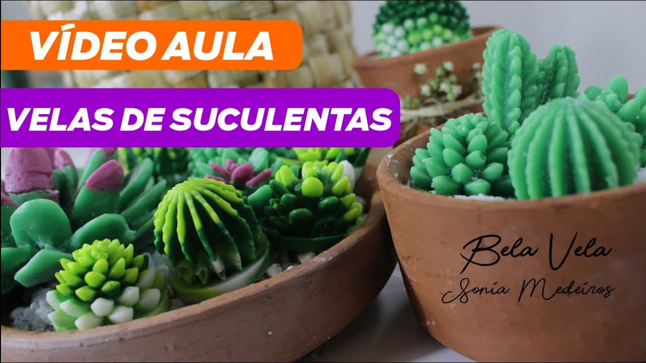 VELA DE SUCULENTA - GANHE DINHEIRO FAZENDO🟢 #artesanato #vela #candle #suculentas