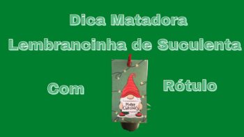 Lembrancinha de Suculenta Com Rótulo【✅DICA MATADOURA】