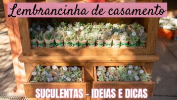 LEMBRANCINHA DE CASAMENTO COM SUCULENTAS – comprar ou plantar – Dicas e ideias